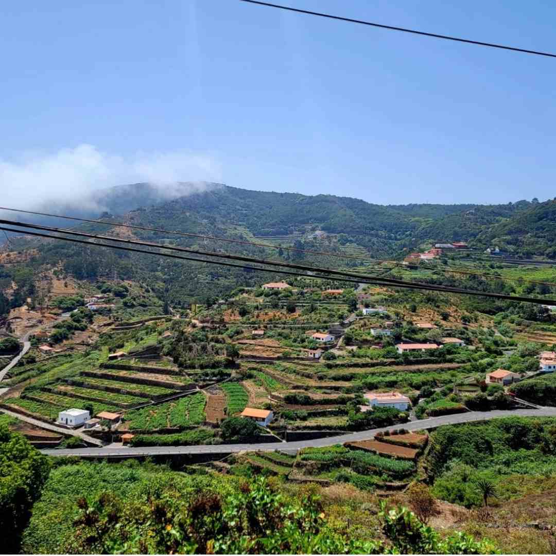 Terrace farming, La Gomera, Spain